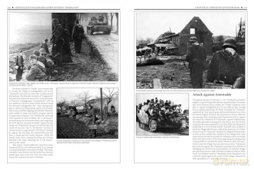 11th Waffen-SS Freiwilligen Panzergrenadier Division "Nordland": An Illustrated History (Divisions of the Waffen-SS, 11) - Massimiliano Afiero [KSIĄŻKA]