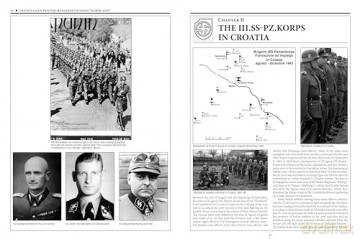 11th Waffen-SS Freiwilligen Panzergrenadier Division "Nordland": An Illustrated History (Divisions of the Waffen-SS, 11) - Massimiliano Afiero [KSIĄŻKA]
