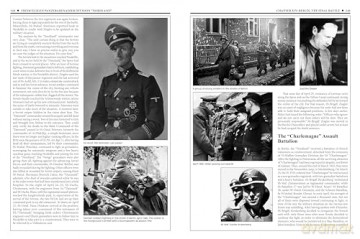 11th Waffen-SS Freiwilligen Panzergrenadier Division "Nordland": An Illustrated History (Divisions of the Waffen-SS, 11) - Massimiliano Afiero [KSIĄŻKA]