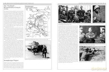 11th Waffen-SS Freiwilligen Panzergrenadier Division "Nordland": An Illustrated History (Divisions of the Waffen-SS, 11) - Massimiliano Afiero [KSIĄŻKA]