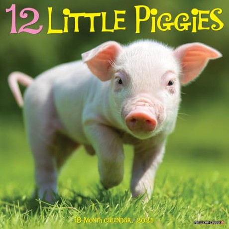 12 Little Piggies 2025 Wall [KSIĄŻKA]