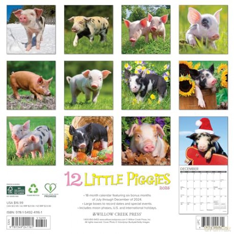 12 Little Piggies 2025 Wall [KSIĄŻKA]