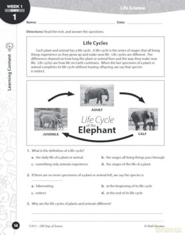 180 Days of Science for Fifth Grade: Practice, Assess, Diagnose (180 Days of Practice) - Lauren Homayoun [KSIĄŻKA]