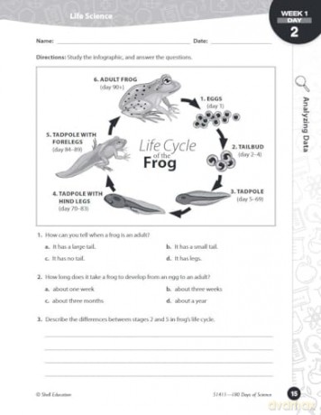 180 Days of Science for Fifth Grade: Practice, Assess, Diagnose (180 Days of Practice) - Lauren Homayoun [KSIĄŻKA]