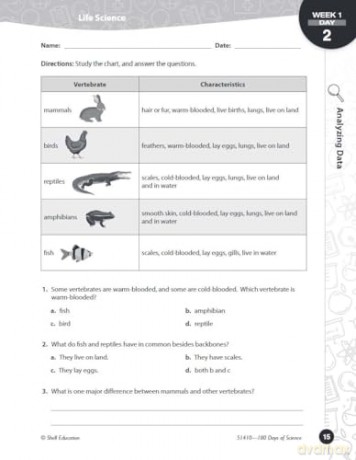 180 Days of Science for Fourth Grade: Practice, Assess, Diagnose (180 Days of Practice) - Lauren Homayoun [KSIĄŻKA]