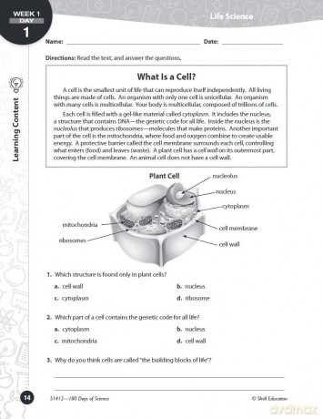 180 Days of Science for Sixth Grade: Practice, Assess, Diagnose (180 Days of Practice) - Bebra Bayne [KSIĄŻKA]