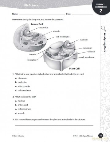 180 Days of Science for Sixth Grade: Practice, Assess, Diagnose (180 Days of Practice) - Bebra Bayne [KSIĄŻKA]