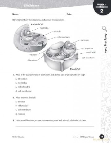 180 Days of Science for Sixth Grade: Practice, Assess, Diagnose (180 Days of Practice) - Bebra Bayne [KSIĄŻKA]