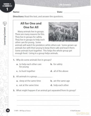 180 Days of Science for Third Grade: Practice, Assess, Diagnose (180 Days of Practice) - Melissa Iwinski [KSIĄŻKA]