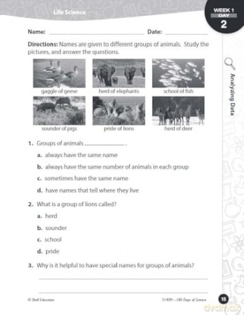 180 Days of Science for Third Grade: Practice, Assess, Diagnose (180 Days of Practice) - Melissa Iwinski [KSIĄŻKA]