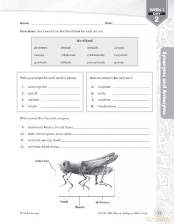 180 Days of Spelling and Word Study for Sixth Grade: Practice, Assess, Diagnose (180 Days of Practice) - Shireen Pesez Rhoades [KSIĄŻKA]