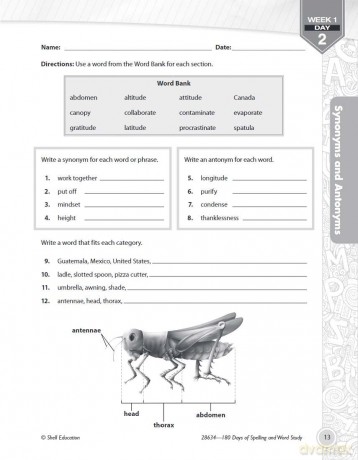 180 Days of Spelling and Word Study for Sixth Grade: Practice, Assess, Diagnose (180 Days of Practice) - Shireen Pesez Rhoades [KSIĄŻKA]