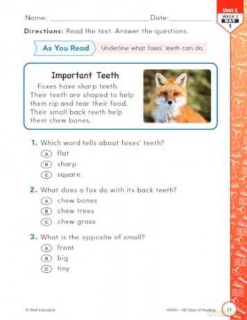 180 Days(tm) Reading for First Grade, 2nd Edition: Practice, Assess, Diagnose (180 Days of Practice) - Stephanie Kraus [KSIĄŻKA]