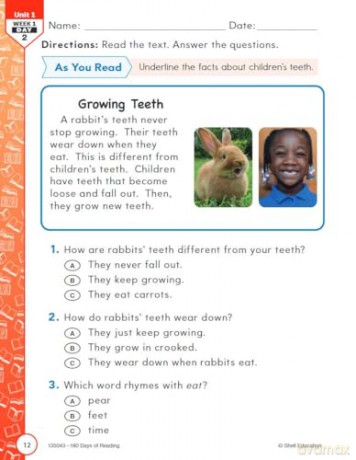 180 Days(tm) Reading for First Grade, 2nd Edition: Practice, Assess, Diagnose (180 Days of Practice) - Stephanie Kraus [KSIĄŻKA]