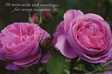 20 Notecards and Envelopes: Pink Rose - s fabulous collection of 20 beautiful flower portrait cards and decorative envelopes (card pack, stationery) [KSIĄŻKA]