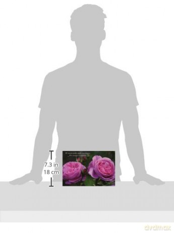 20 Notecards and Envelopes: Pink Rose - s fabulous collection of 20 beautiful flower portrait cards and decorative envelopes (card pack, stationery) [KSIĄŻKA]