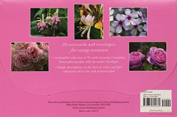 20 Notecards and Envelopes: Pink Rose - s fabulous collection of 20 beautiful flower portrait cards and decorative envelopes (card pack, stationery) [KSIĄŻKA]