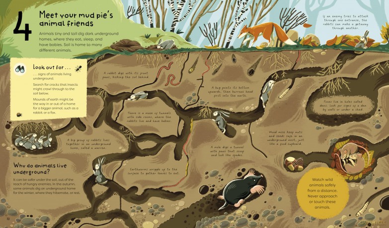 21 Things to Do With a Mud Pie: An Outdoor Activity Book (21 Things to Do Outdoors) - Jane Wilsher [KSIĄŻKA]