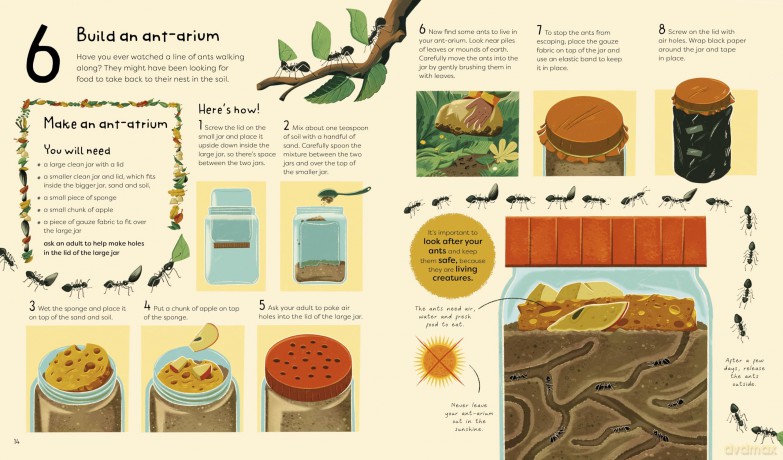 21 Things to Do With a Mud Pie: An Outdoor Activity Book (21 Things to Do Outdoors) - Jane Wilsher [KSIĄŻKA]