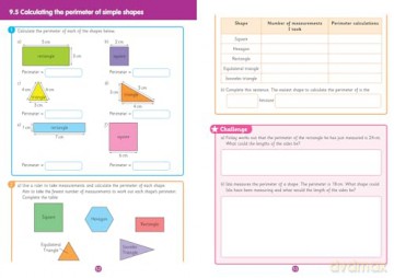 2A Practice Workbook 2 (Primary Maths for Scotland) - Linda Lapere [KSIĄŻKA]
