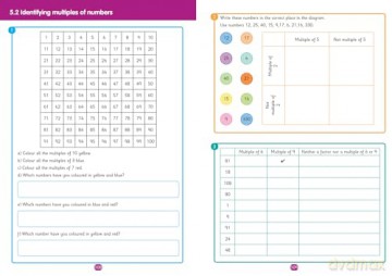 2B Practice Workbook 1 (Primary Maths for Scotland) - Karen Hart [KSIĄŻKA]
