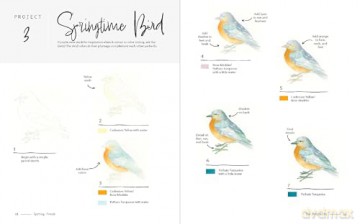 3-Colour Watercolour: 30 colour-mixing masterpieces - Katie Putt [KSIĄŻKA]
