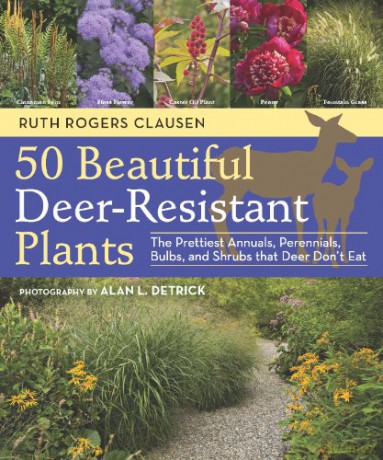 50 Beautiful Deer-Resistant Plants: The Prettiest Annuals, Perennials, Bulbs, and Shrubs That Deer Don't Eat - Ruth Rodgers Clausen [KSIĄŻKA]