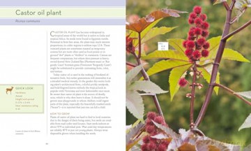 50 Beautiful Deer-Resistant Plants: The Prettiest Annuals, Perennials, Bulbs, and Shrubs That Deer Don't Eat - Ruth Rodgers Clausen [KSIĄŻKA]
