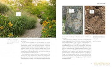 50 Beautiful Deer-Resistant Plants: The Prettiest Annuals, Perennials, Bulbs, and Shrubs That Deer Don't Eat - Ruth Rodgers Clausen [KSIĄŻKA]