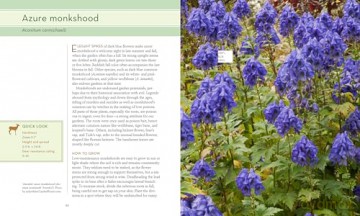 50 Beautiful Deer-Resistant Plants: The Prettiest Annuals, Perennials, Bulbs, and Shrubs That Deer Don't Eat - Ruth Rodgers Clausen [KSIĄŻKA]