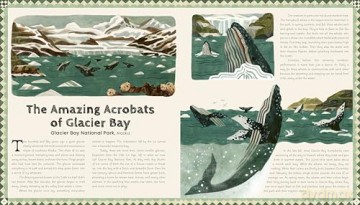 50 True Tales from Our Great National Parks (Americana) - Stephanie Pearson [KSIĄŻKA]