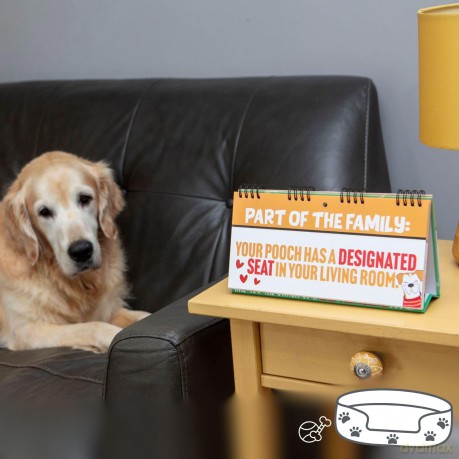 50 Ways To Spoil Your Dog Flipbook: Boxer Gifts Funny Dog Owner Gifts - Bee Three Books [KSIĄŻKA]