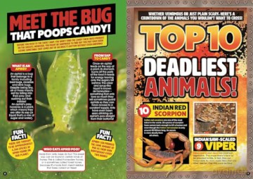 500 Weird Animal Facts - DC Thomson [KSIĄŻKA]