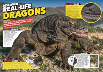 500 Weird Animal Facts - DC Thomson [KSIĄŻKA]