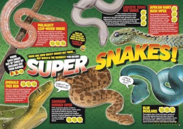 500 Weird Animal Facts - DC Thomson [KSIĄŻKA]