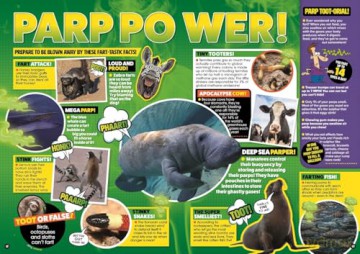 500 Weird Animal Facts - DC Thomson [KSIĄŻKA]