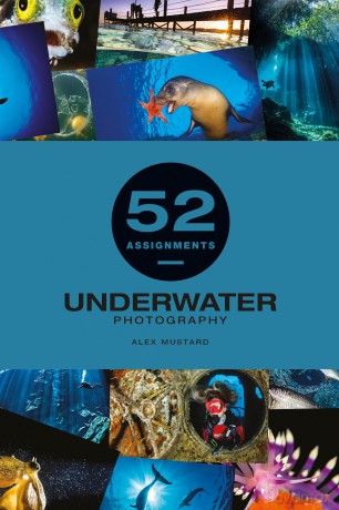 52 Assignments: Underwater Photography - Alex Mustard [KSIĄŻKA]
