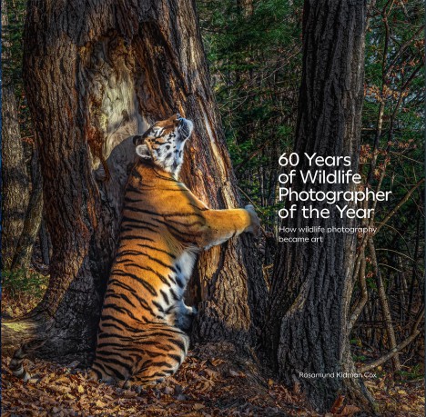60 Years of Wildlife Photographer of the Year: How Wildlife Photography Became Art - Natural History Museum [KSIĄŻKA]