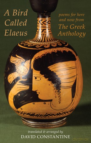 A Bird Called Elaeus: poems for here and now from The Greek Anthology - David J. Constantine [KSIĄŻKA]