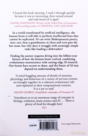 A Brief History of Intelligence: Why the Evolution of the Brain Holds the Key to the Future of AI - Max Bennett [KSIĄŻKA]