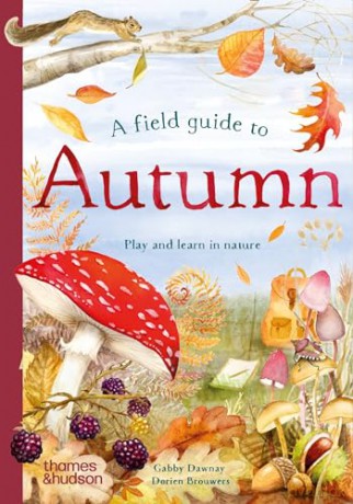 A Field Guide to Autumn: Play and learn in nature: 2 (Field Guide series) - Gabby Dawnay [KSIĄŻKA]