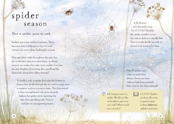 A Field Guide to Autumn: Play and learn in nature: 2 (Field Guide series) - Gabby Dawnay [KSIĄŻKA]