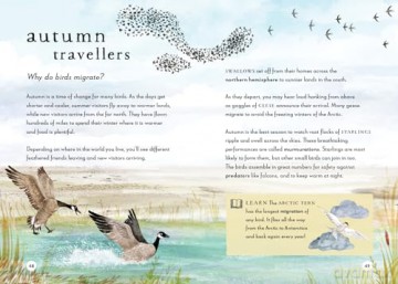 A Field Guide to Autumn: Play and learn in nature: 2 (Field Guide series) - Gabby Dawnay [KSIĄŻKA]