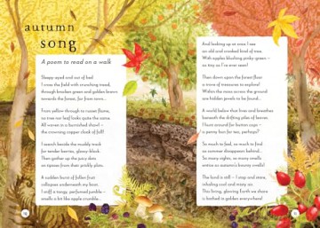 A Field Guide to Autumn: Play and learn in nature: 2 (Field Guide series) - Gabby Dawnay [KSIĄŻKA]