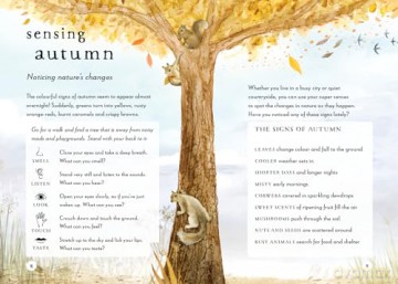 A Field Guide to Autumn: Play and learn in nature: 2 (Field Guide series) - Gabby Dawnay [KSIĄŻKA]