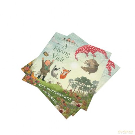 A Flying Visit: A funny illustrated picture book for children from the creator of One Snowy Night (A Percy the Park Keeper Story) - Nick Butterworth [KSIĄŻKA]