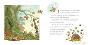 A Flying Visit: A funny illustrated picture book for children from the creator of One Snowy Night (A Percy the Park Keeper Story) - Nick Butterworth [KSIĄŻKA]