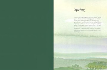 A Forager's Guide to Wild Drinks: Ferments, infusions and thirst-quenchers for every season - Liz Knight [KSIĄŻKA]