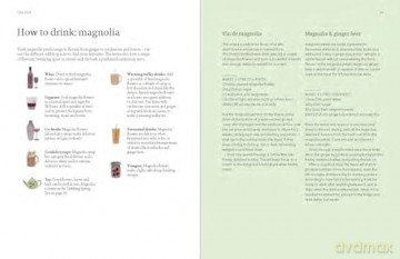 A Forager's Guide to Wild Drinks: Ferments, infusions and thirst-quenchers for every season - Liz Knight [KSIĄŻKA]