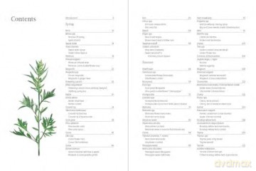 A Forager's Guide to Wild Drinks: Ferments, infusions and thirst-quenchers for every season - Liz Knight [KSIĄŻKA]